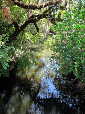 estero river