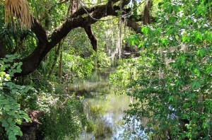 Estero River