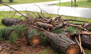 Hurricane Irma debris