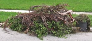  debris cleanup from Hurricane Irma