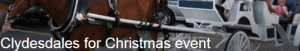  Clydesdales for Christmas event