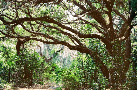 River Oaks Park