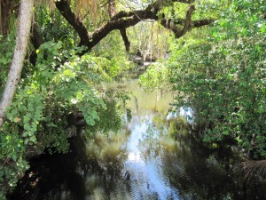 Estero River