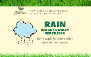 Rain washes away fertilizer.