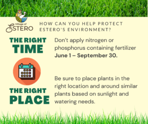 Fertilize at the right time and place