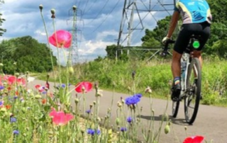 Bike path