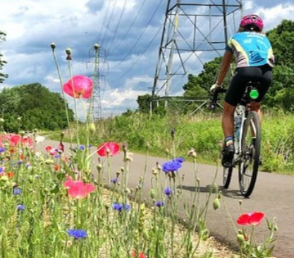 Bike path